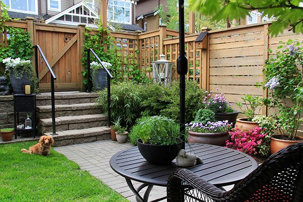 Small garden in springtime with dachshund dog sitting on the lawn.